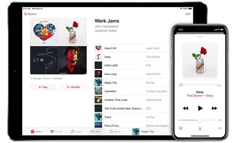 How Can I See How Many Songs I Have on Apple Music: A Journey into the World of Music Streaming