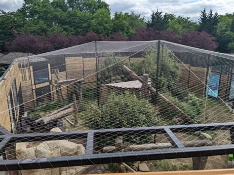 What Is the Art of Zoo: Exploring the Many Dimensions of Animal Enclosure